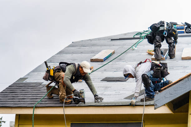 Professional Gutter Installation technician working in Chapman, AL
